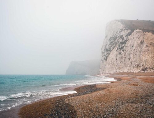N-Acetylcystein (NAC) bei PMDD: Naturstoff zeigt vergleichbare Wirksamkeit wie Fluoxetin