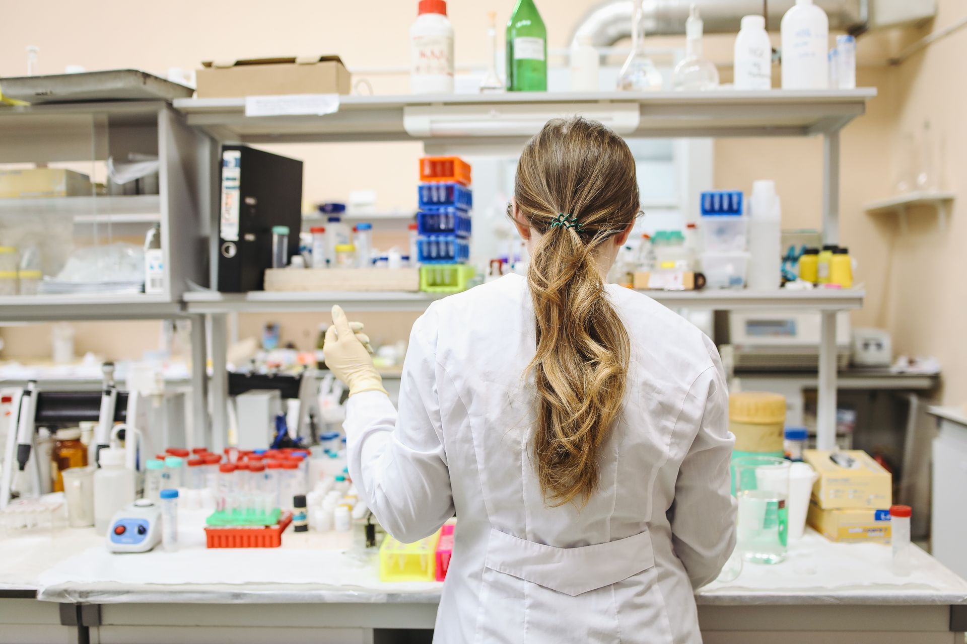 Die verborgene Verbindung: Südkoreanische Studie zeigt – Lactobacillus helveticus HY7801 lindert PMS durch Darm-Hirn-Achse